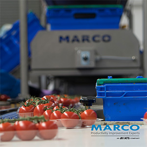 MARCO Tomato Industry