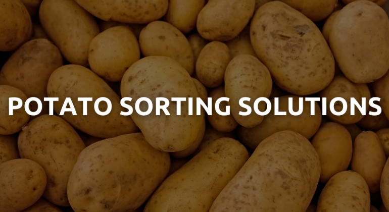 Potato-770x420