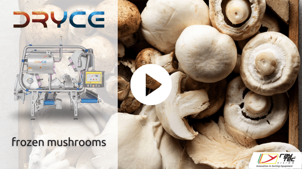 Dryce-frozen-mushrooms
