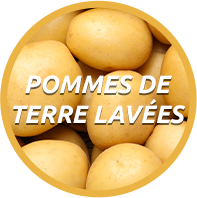 Pommes de terre lavées