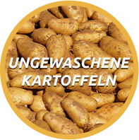 Ungewaschene Kartoffeln