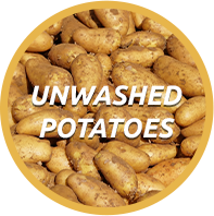 unwashed potatoes