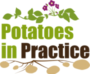 Potatoes in practice Logo 2025 Potatoes in practice Logo 2025
