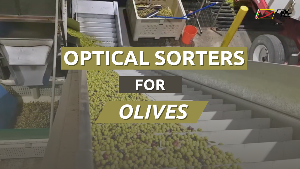Thumbnail playlist youtube for olives