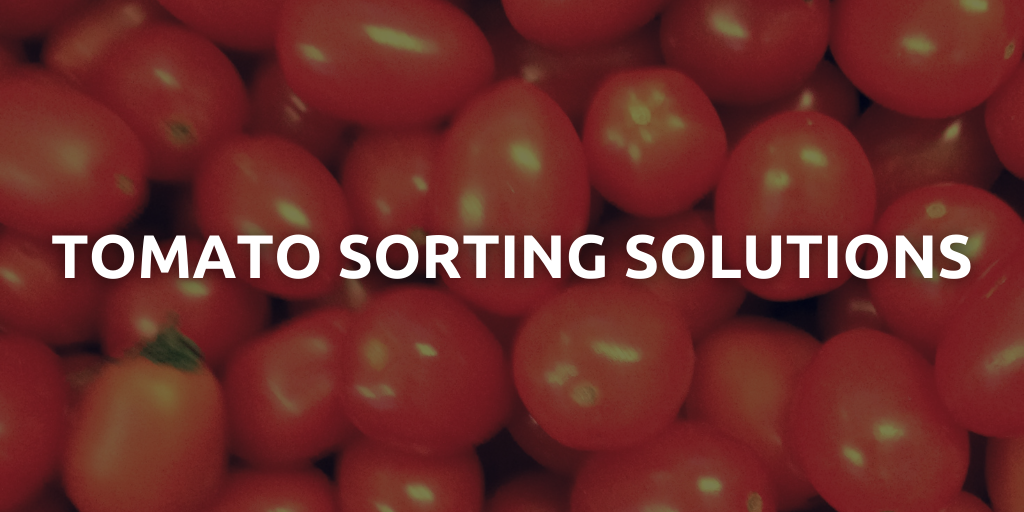 Tomato.png