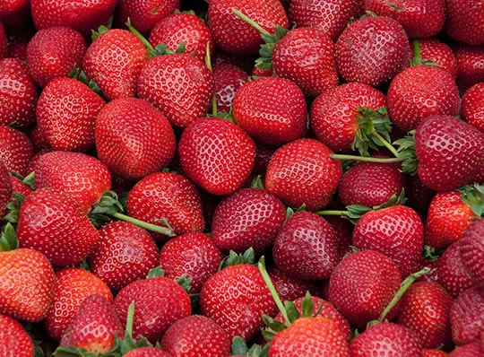 Obst