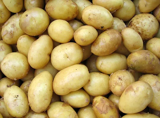 Kartoffeln